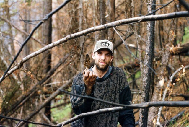Fire Morel Picker