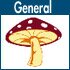 General